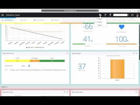 ZebraPlan: Multiple Project