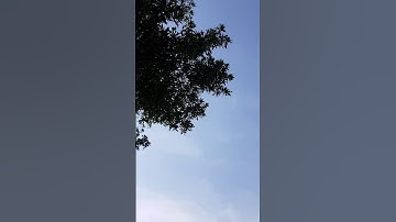 سورة البقرة آية ١٨٣