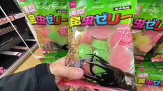 Famous Biggest Daiso in Tokyo 7 Profile