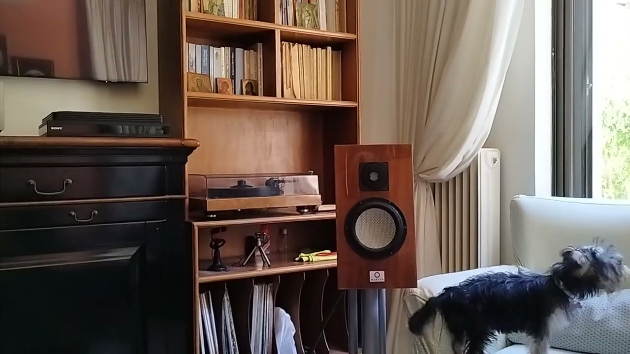 naim hdx, wireworld polaris V, atc sia2 150, cardas golden ref. and marten duke.