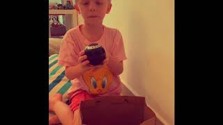 How To Be A Spy Chase Suit Up