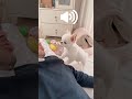【インスタ121万回再生】おとうさんと会話する犬うにちゃん #しゃべる犬 #チワワ #癒し #ほのぼの #のんびり #ほんわか