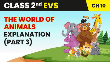 The World of Animals - Explanation (Part 3) | Class 2 Environmental Studies Chapter 10 | CBSE 2025