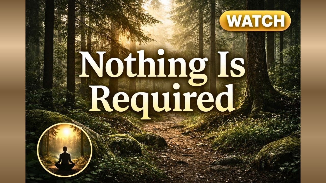 Nothing Is Required of You Right Now | A Gentle Forest Meditation for Deep Rest