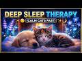 Warm Fireplace Sleep Lullaby for Puppies and Kittens 24 Hours