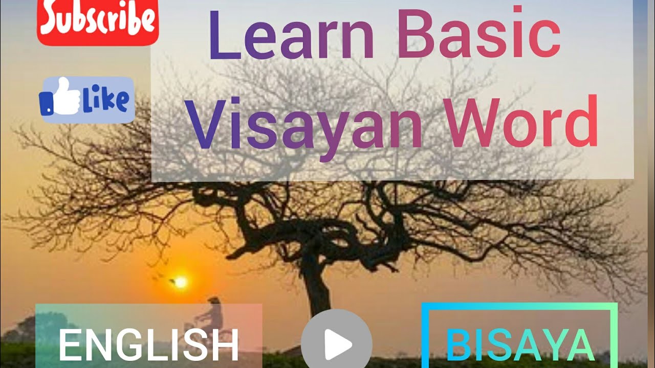 Learn Basic Bisaya Words & Phrases 3.0 YouTube