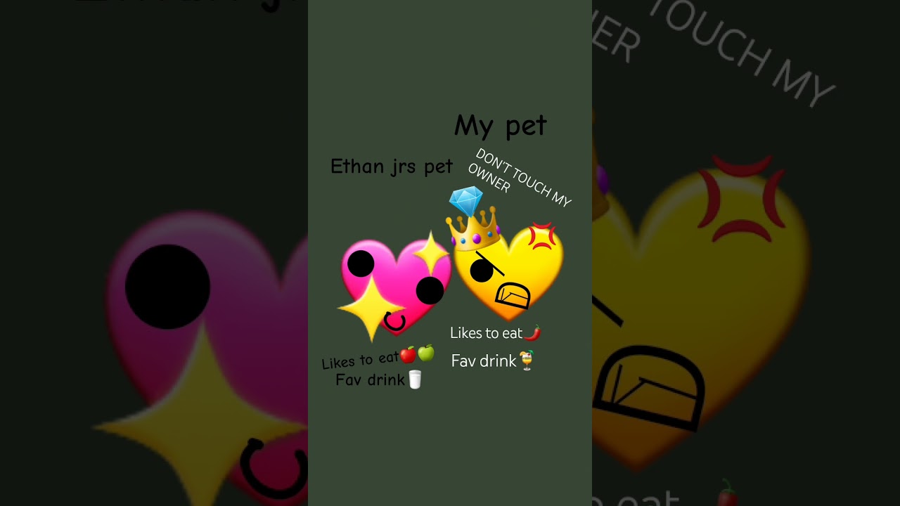 YOU do not wanna mess with my pet  name in the comment