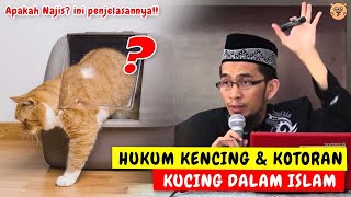 HUKUM KENCING KUCING DAN KOTORAN KUCING DALAM ISLAM DAN CARA MEMBERSIHKAN KOTORAN KUCING YANG BENAR