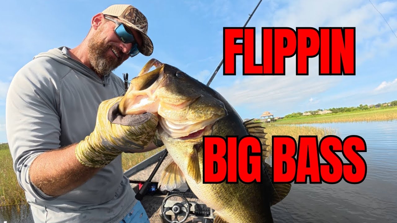 SUMMERTIME BIG BASS on LAKE TOHO