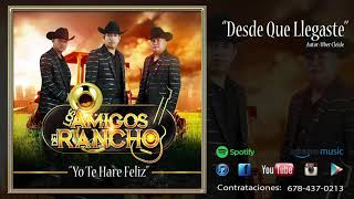 Video thumbnail of "Desde Que Llegaste - Los Amigos Del Rancho [2019]"