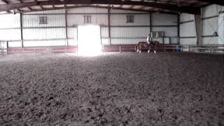 MOV06282.MPG