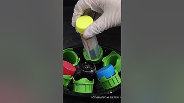 Lab vlog--Concentrating protein with Cobetter centrifugal filters#cobetter #shorts #concentration