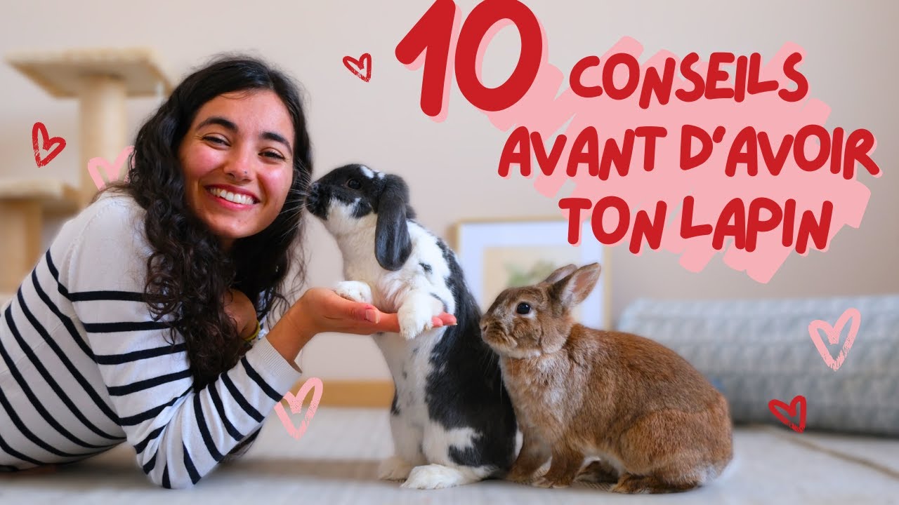 🐰 10 Choses à savoir ABSOLUMENT avant d'adopter un LAPIN