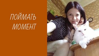 Видео Поймать момент (автор: Moon Raccoon / Katya Fedotova)