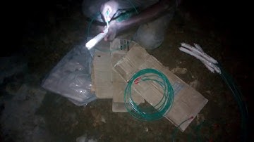 BLASTING (preparation of the primers) prt2