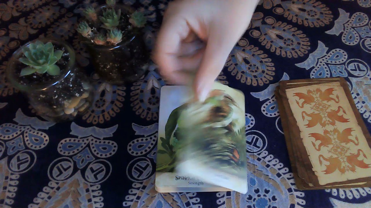 Field Guide to Garden Dragons Oracle Deck Walkthrough