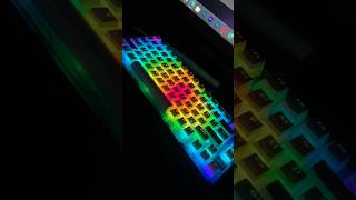 Wraith W75 Kısa Incelemesi Bugün