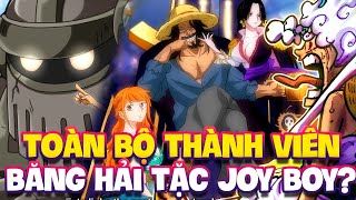 BĂNG HẢI TẶC JOY BOY GỒM NHỮNG AI?!