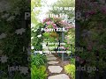 Psalm 32:8 (ESV)