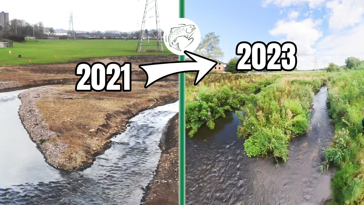 Возвращаясь к восстановлению реки: что произошло 2 года спустя?