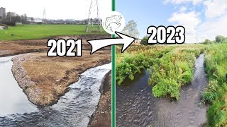 Revisiting a River Restoration: What Happened 2 Years Later?