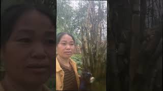 Mộng du này bị có năng suất 🤣🥰
