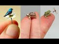 100 Smallest Animals in The World