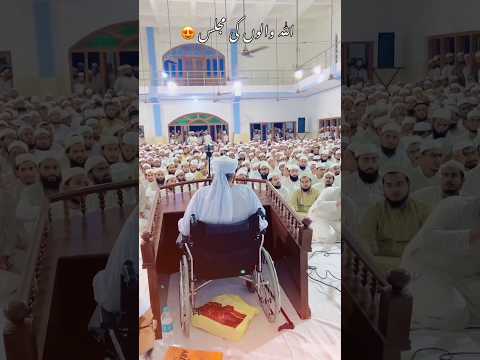 Shaikh khalilurrahman Sajjad Nomani Sahab (d.b) #viral #trending #subscribe #shortvideo