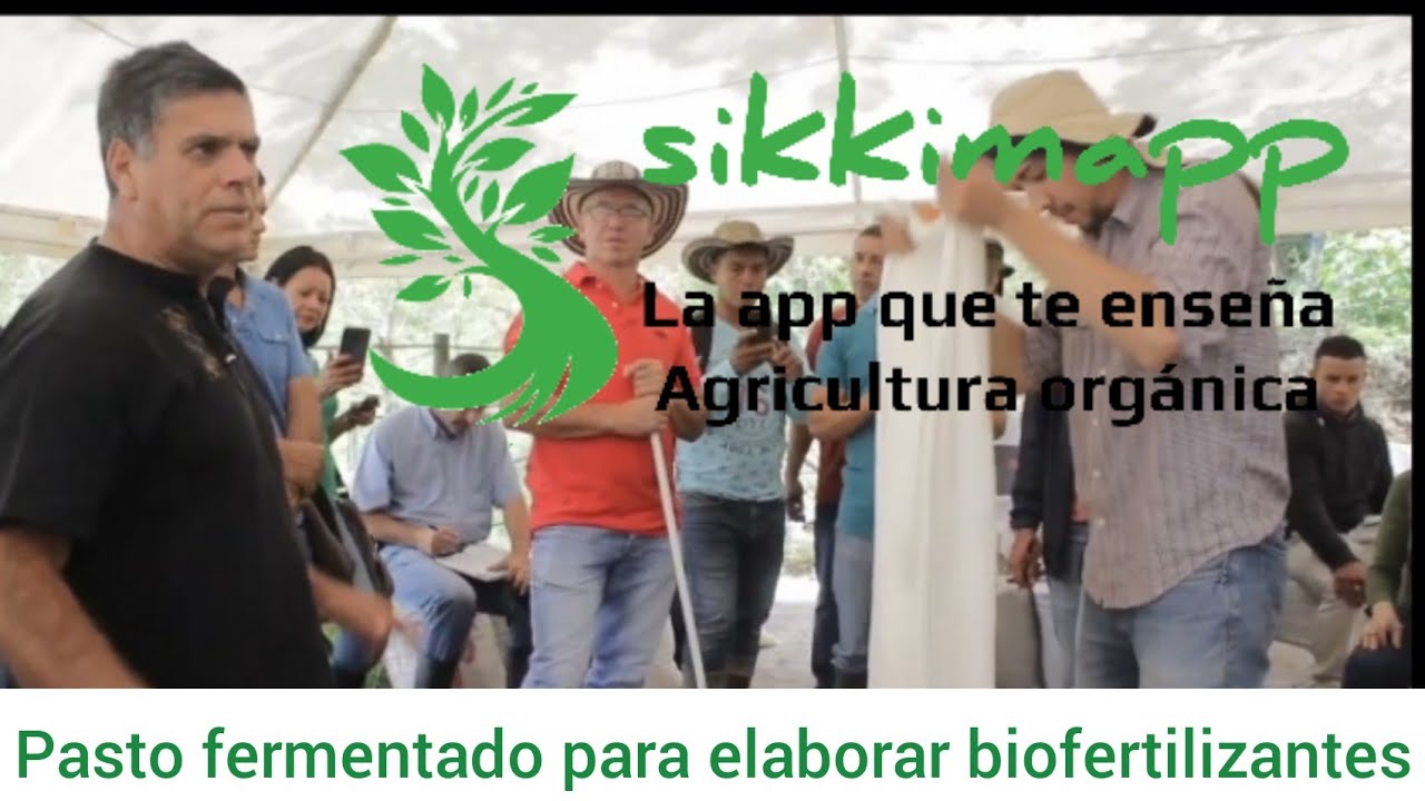 Pasto fermentado para elaborar biofertilizantes orgánicos Juan José Paniagua agricultura orgánica