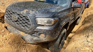 Stock 2020 Toyota Tacoma TRD Offroad | Citrus WMA 4x4 | Feat. 4Runner SR5