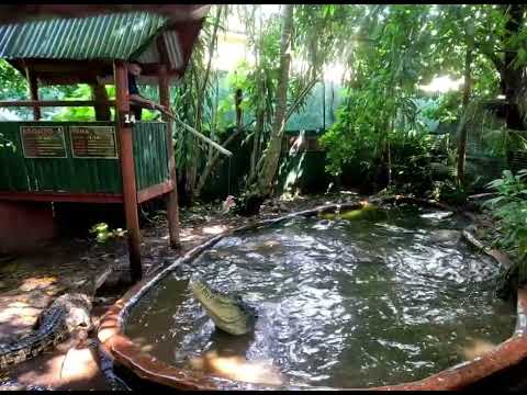 Marineland Melanesia Crocodile Habitat, Green Island in the Great Barrier Reef, Queensland