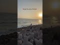 🚩જય દ્વારકાધીશ 🚩#viralvideo #trending #like #subscribe 🙏🏻