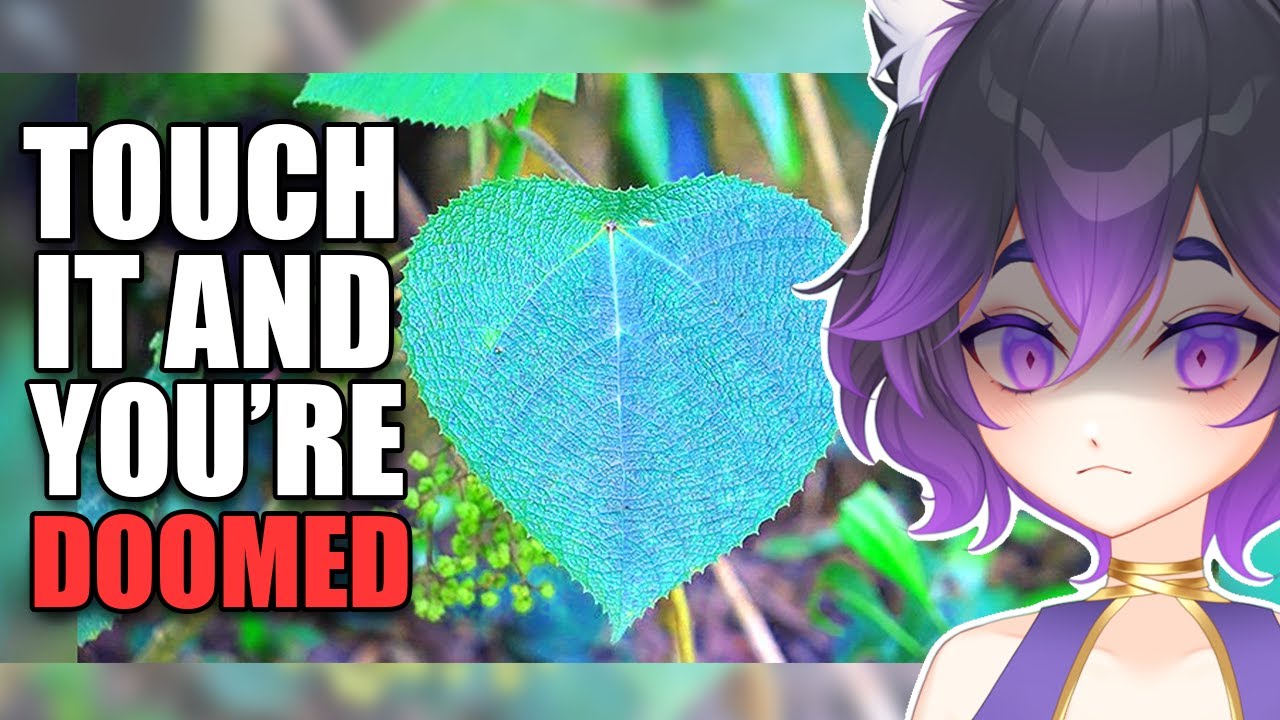 Even the PLANTS are TERRIFYING in Australia! (MoreParz React)