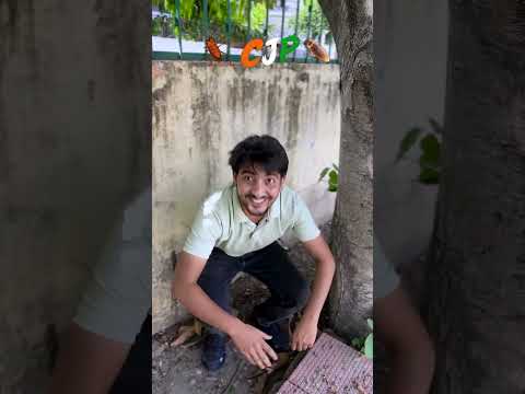 CJP 😂👍 |  #ytshorts