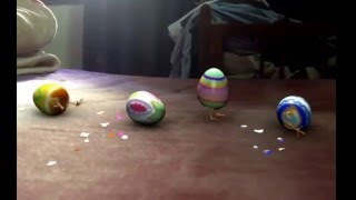 Animation Photoshop Anas