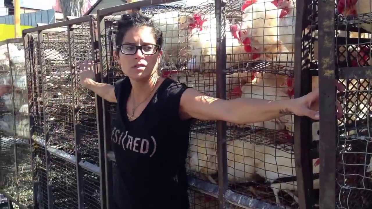 Kaparot 9/13/13 Bait Aaron, Young Israel of Beverly Hills YouTube