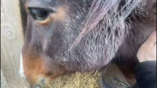 Ukázka všechny práce