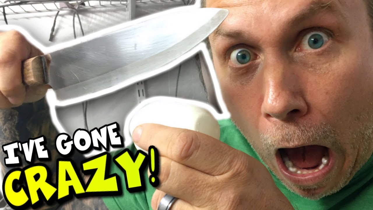 vlogs in spanish CUTTING SNAKE EGGS.. LAST SNAKE CLUTCHES OF THE YEAR! | BRIAN BARCZYK