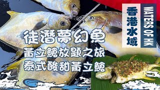 【漁人推介】香港水域 阿火帶大家出海遇上黃立䱽群追擊徒潛夢幻魚 自家製作泰式酸甜魚海鮮食譜Catch and Cook  Seafood Recipe Thai Crispy Fish