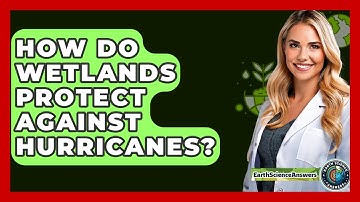 How Do Wetlands Protect Against Hurricanes? - Earth Science Answers