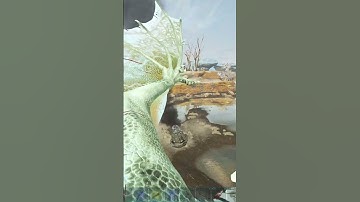 How to Join and Play my ARK Servers!