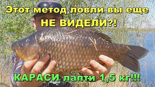 Хитрый метод ловли. Огромные караси на удочку с боковым кивком. Рыбалка на карася весной