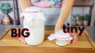 Make a sourdough starter really big or really small and save your flour!