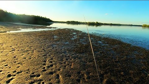 Big Flathead On A Tiny Lure (Land Based Fishing)