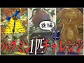 【ピクミン1匹チャレンジ】バグミン1匹で全てのボスたちに挑んでみたらどうなるのか 難易度ゲキカラ 後編【ピクミン3デラックス】