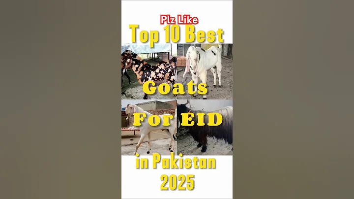 Top 10 Goats🐐 For Eid in Pakistan 2025|सबसे अच्छी बकरियाँ#cattleworld#cutebaby #goat#qurbanvlogs#top