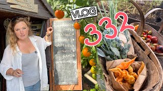Sowing for Autumn + Happy Harvests! Ep 332 || Plot 37