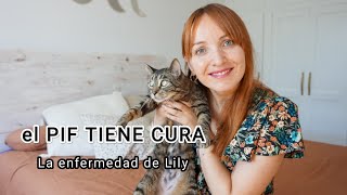 PIF TIENE CURA | La enfermedad de Lily