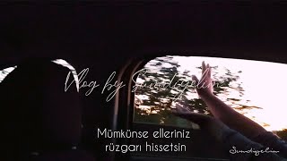 Acemi Fotoğraf Çekimi Araba Yolculuğugün Batımı Su Kenarı Doğumgünü -Vlog4