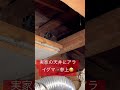 アライグマが天井裏に住んでいた😅#shortvideo#害獣#アライグマ